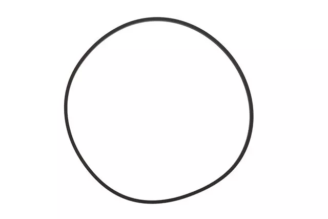 Automatic Transmission Case Extension Seal