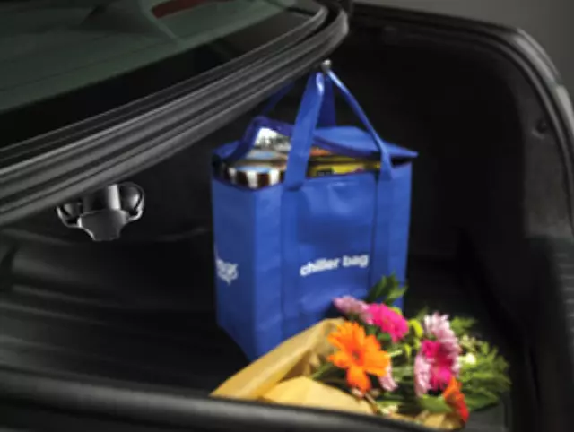 2013-2015 Honda Crosstour - Cargo Hook