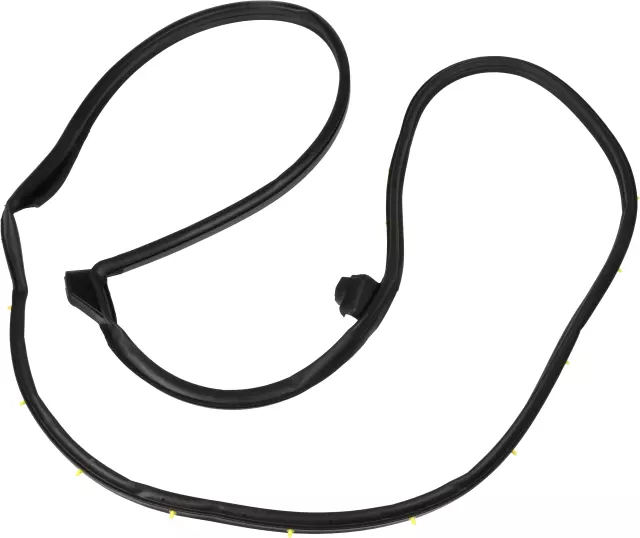 Surround Weather-Strip