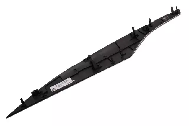 Rear Passenger Side Door Applique in Kinetic