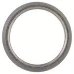 Catalytic Converter Gasket