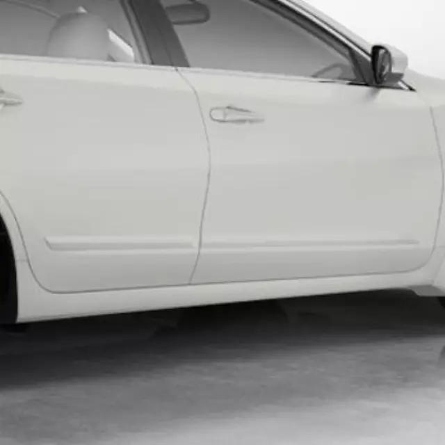 Body Side Moldings, Passenger Side