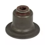 Valve Seals