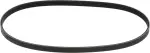 Power Steering Belt