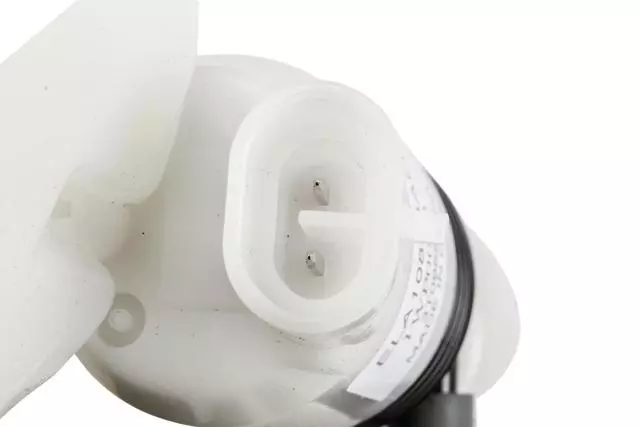 Windshield Washer Fluid Reservoir