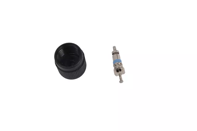 Fuel Injection Fuel Pressure Service Kit with Valve and Cap