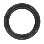 Engine Crankshaft Seal