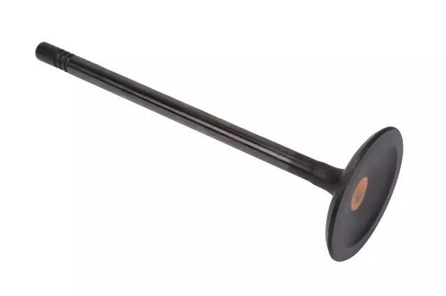 Intake Valve