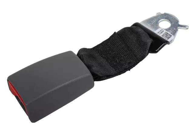 Dark Ash Grey Seat Belt Receptacle