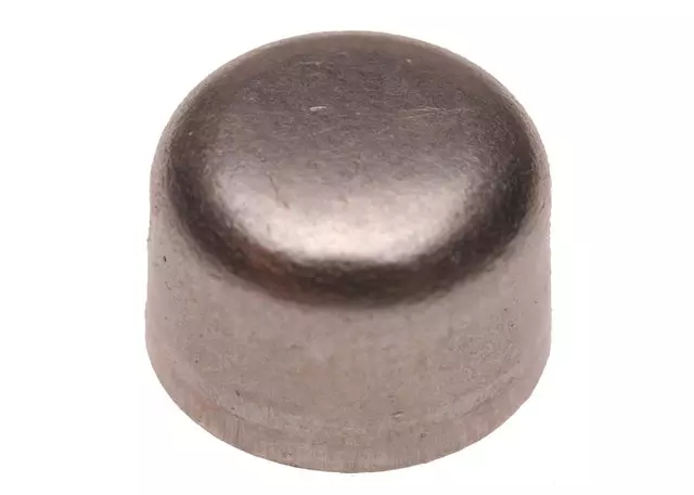 Park Pawl Shaft Hole Plug