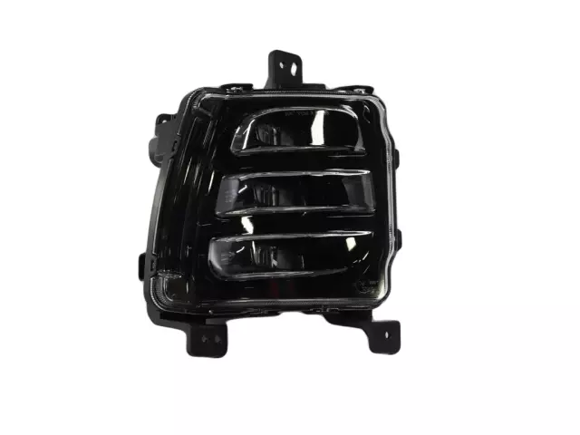 Dorman 1631270 Fog Light Assembly