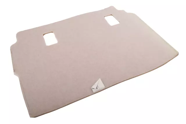 Rear Driver Side Seat Back Panel