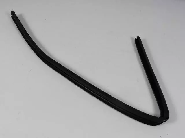 Rear Door Glass Seal, Left