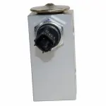 Motorcraft™ Control Valve