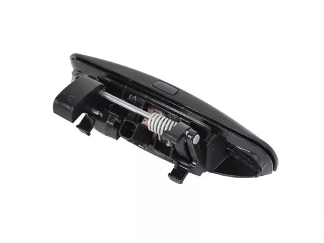 2016-2019 Dodge Front Door Exterior Handle, Right 1MZ84KARAM | My