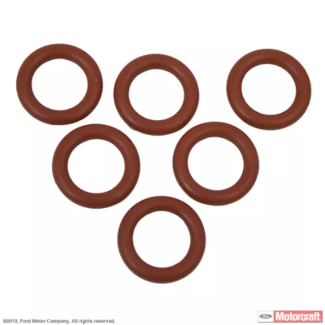 Hose & Tube Assembly O-Ring