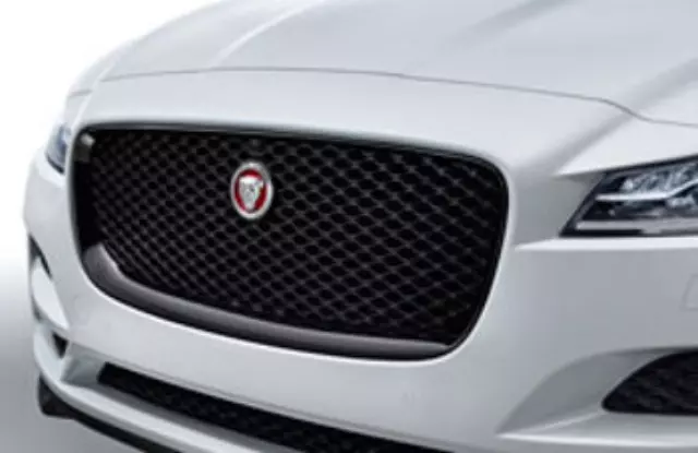 Grille - Gloss Black - Camera