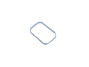 Intake Plenum Gasket