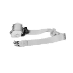 Rear Outer Seat Belt