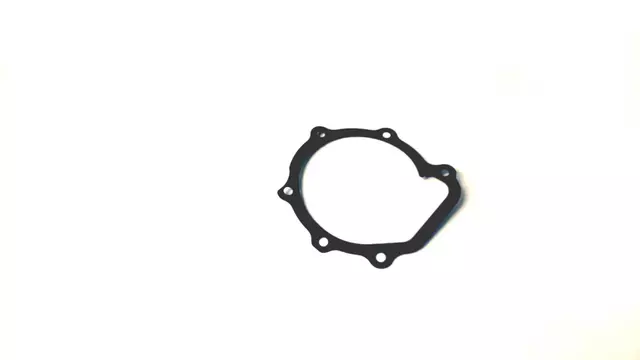 Gasket