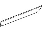 Body Side Molding