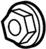 Master Cylinder Nut