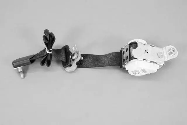 Rear Seat Belt, Right