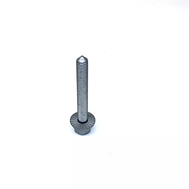 Rear Support Mount Bolt