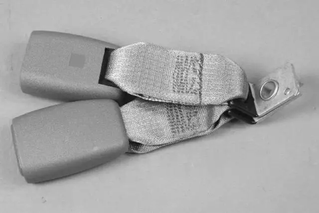 Two Buckles Seat Belt