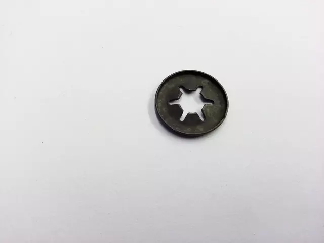 Trunk Lid Trim Washer