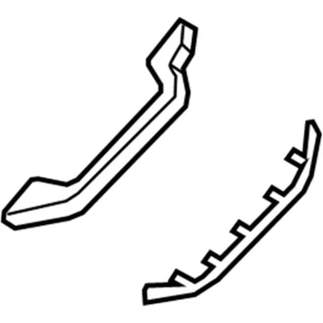 JL1Z-7831406-AB - Interior Grab Bar 2018-2021 Ford Expedition