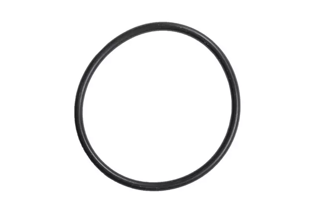 2020-2024 GM - Radiator Outlet Pipe Seal