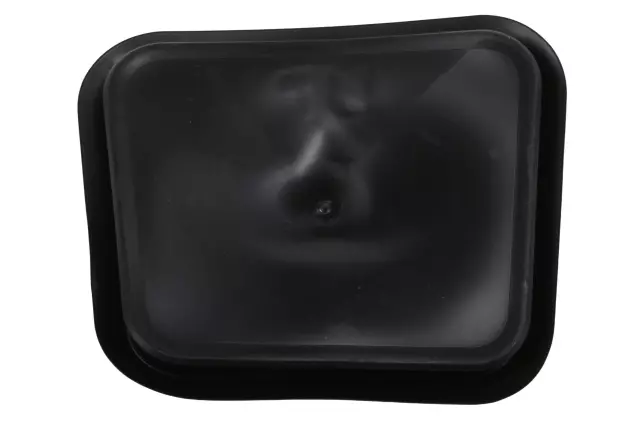 Door Mirror Nut Access Hole Plug