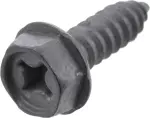 Fog Lamp Assembly Screw