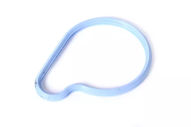 Thermostat Housing Seal