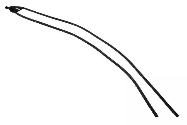 Front Driver Side Door Weatherstrip