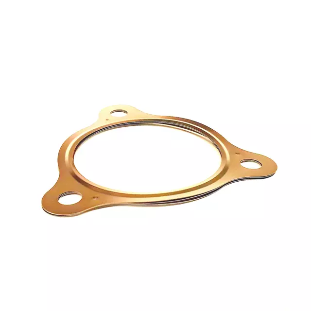 Converter & Pipe Gasket