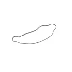 Cross Over Pipe Gasket