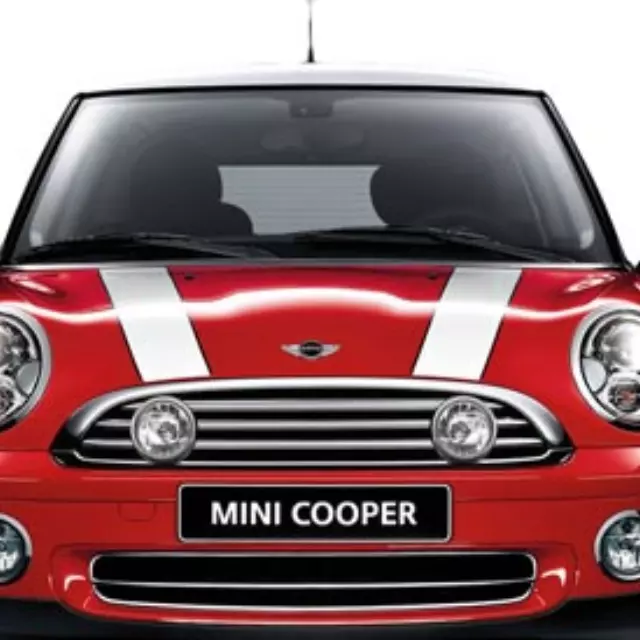 Bonnet Stripe - Pinstripe - White Left Side
