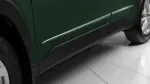 Body Side Moldings