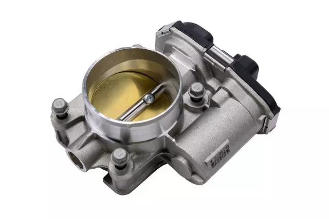 Fuel Injection Throttle Body with Throttle Actuator
