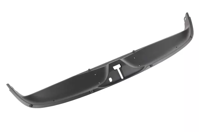 Lift Window Latch Trim Panel