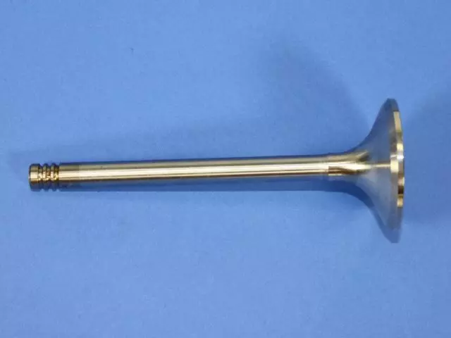 Exhaust Valve