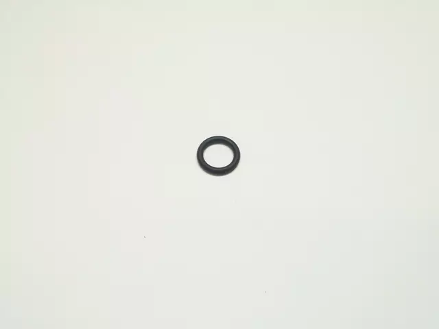 Fuel Injector O-Ring