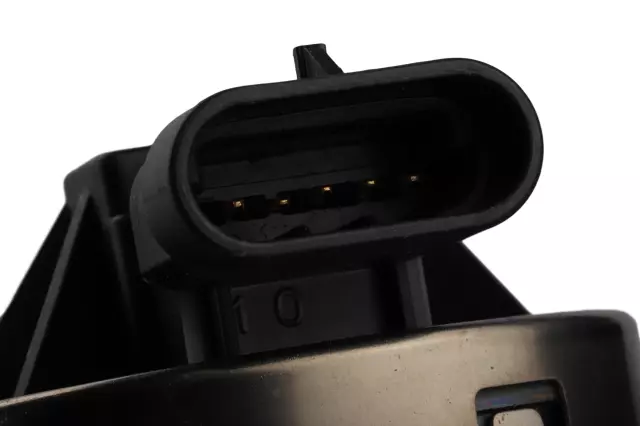 Exhaust Gas Recirculation (EGR) Valve