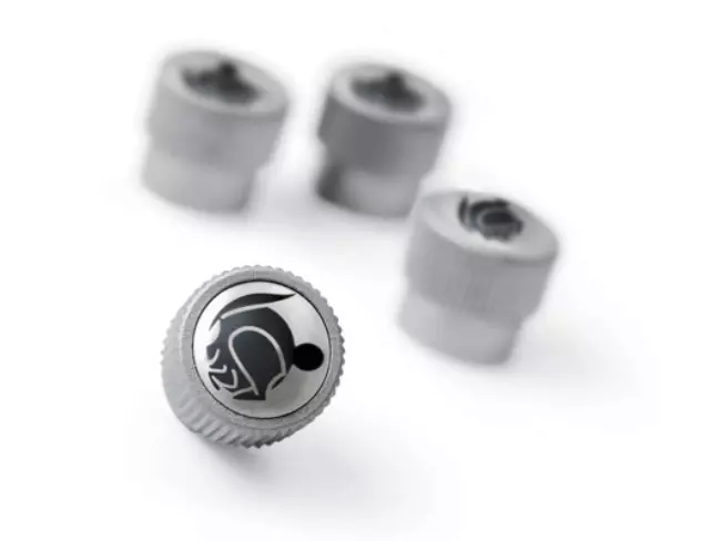 Fast Valve Stem Caps - Volkswagen (ZVW-355-023-F)