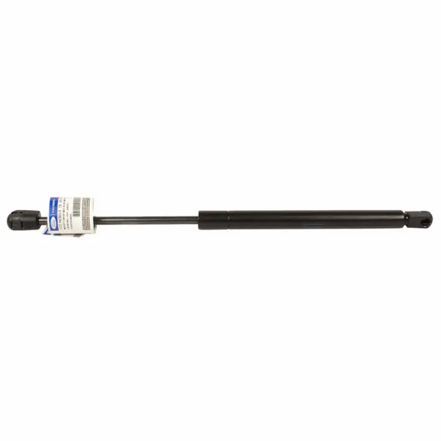 JL1Z-16C826-A - Lift Cylinder 2018-2024 Ford | Ford Parts Direct