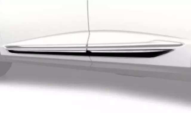 Body Side Molding - Majestic Black Pearl