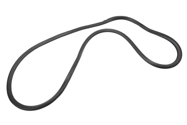 Rear Side Door Weatherstrip