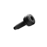 Torx Head Screw, Right